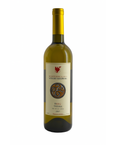Tsitska Khareba Weißwein Flasche Georgien